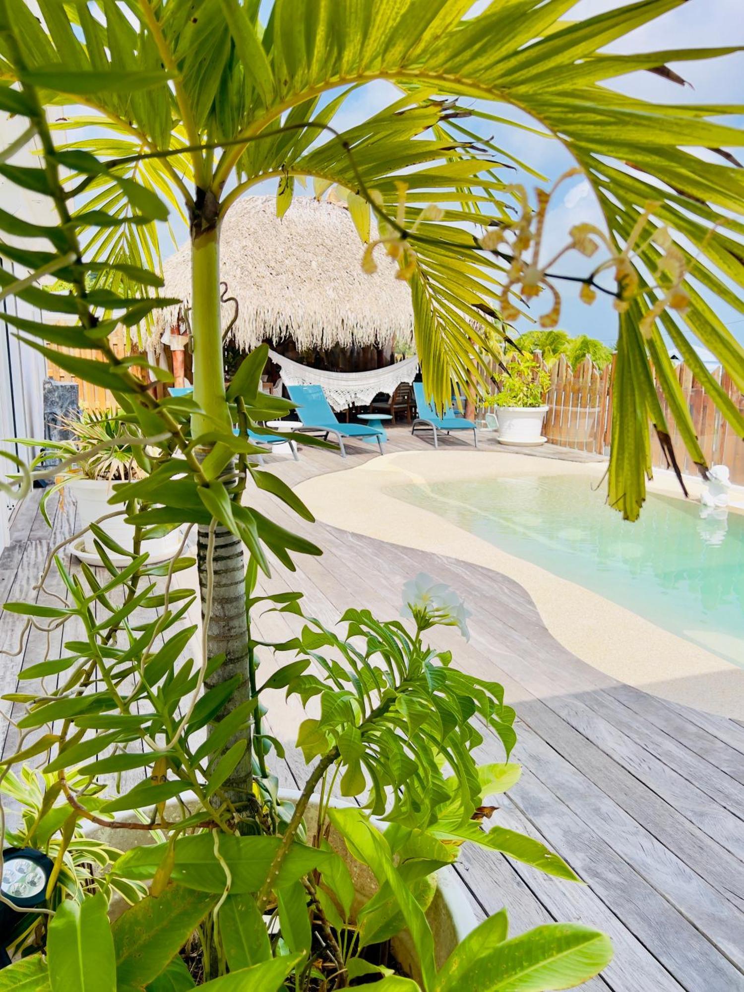 Villa Amaryllis Luxueuse,Piscine,Vue Mer,Plage Сент-Люс Экстерьер фото
