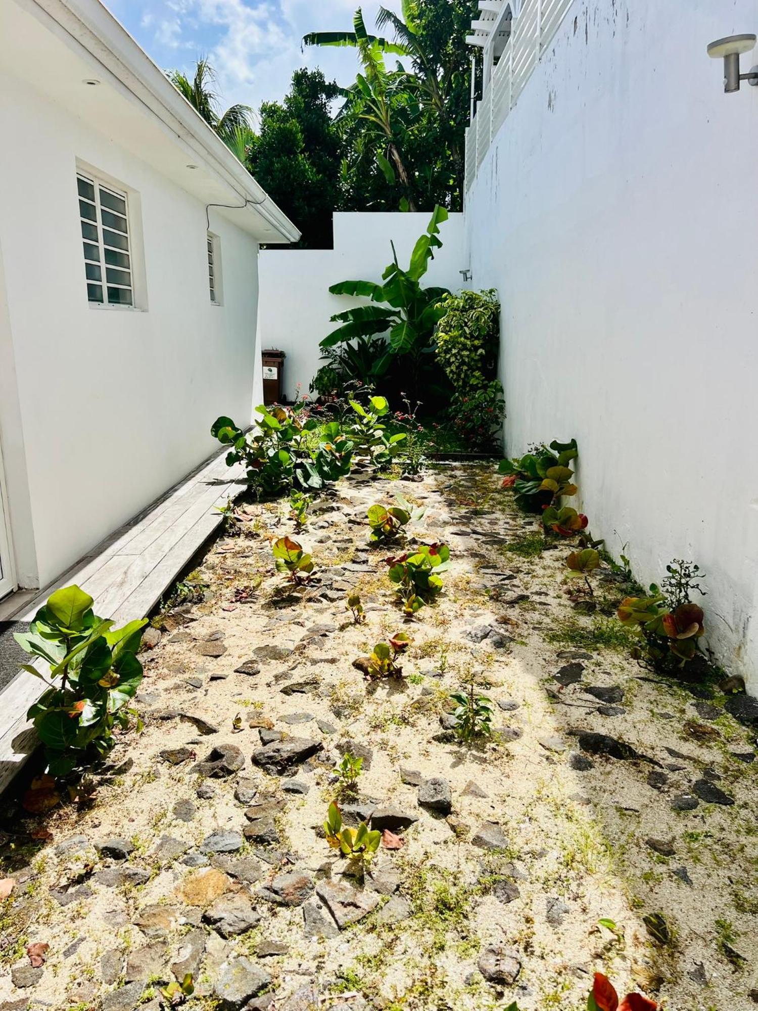 Villa Amaryllis Luxueuse,Piscine,Vue Mer,Plage Сент-Люс Экстерьер фото